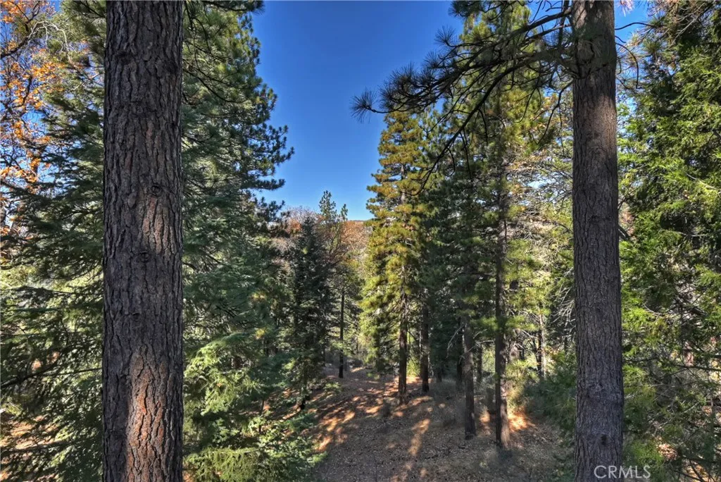 Additional image 9 of 30580 Live Oak Dr, Running Springs, CA 92382