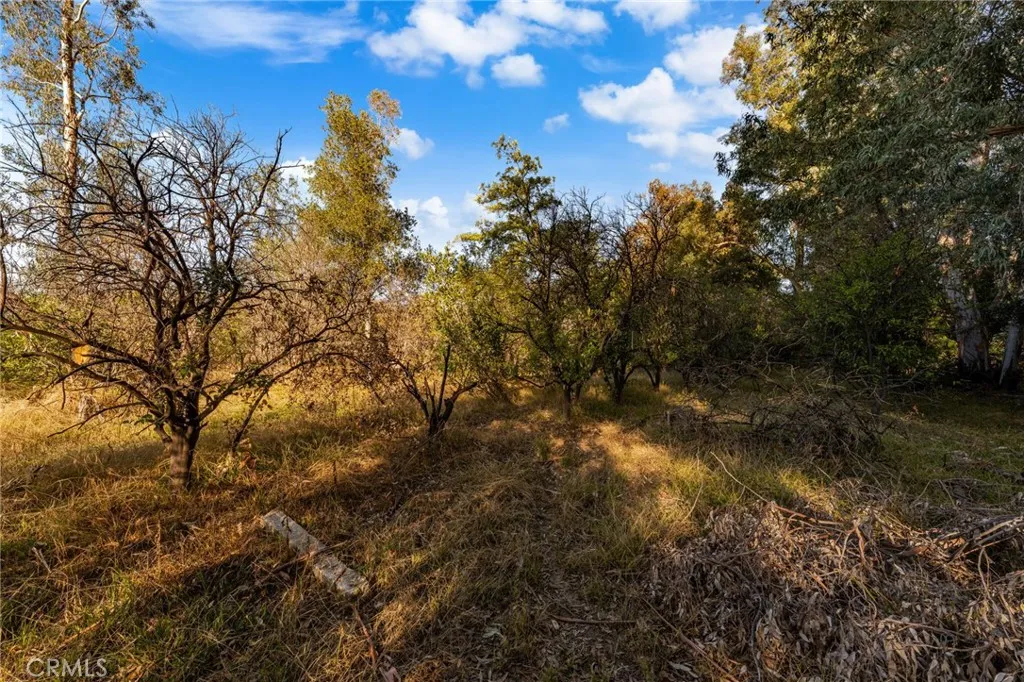 Additional image 23 of 2700 Mill Creek Road, Mentone, CA 92359