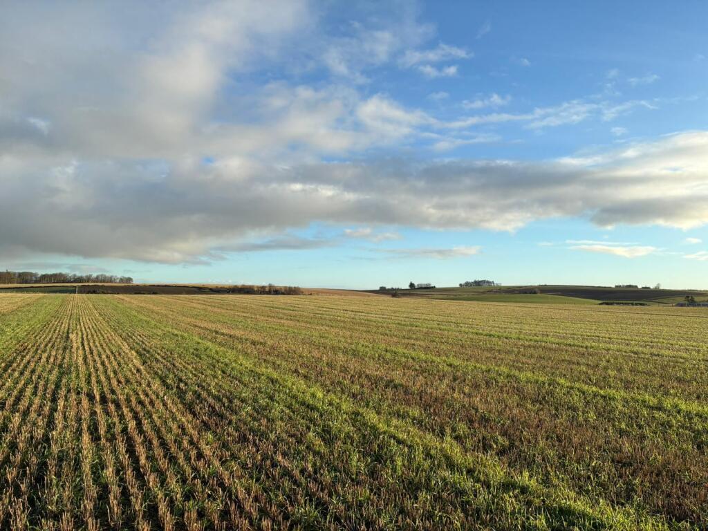 Additional image 4 of Formartine AB53