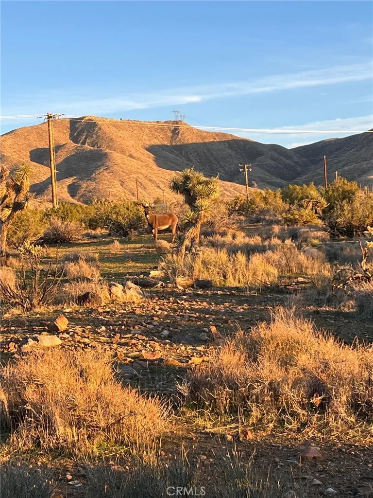 Additional image 50 of 20240 Juniper Rd, Apple Valley, CA 92308