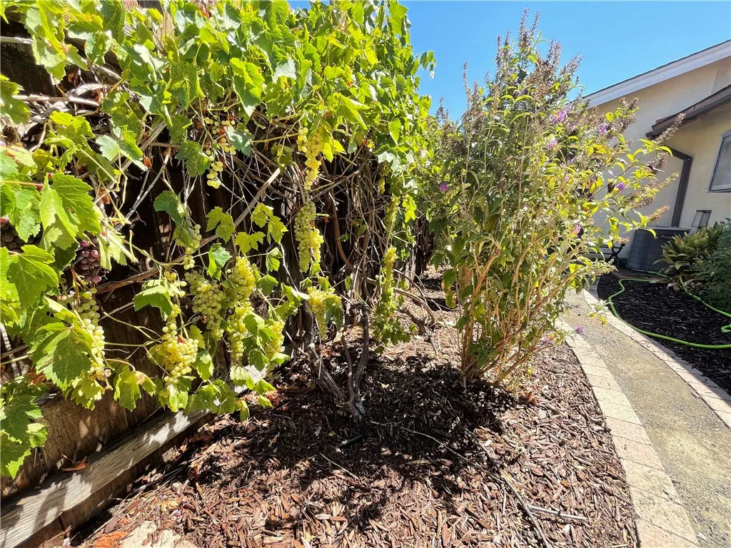 Additional image 17 of 3279 Firtree Way, Paso Robles, CA 93446