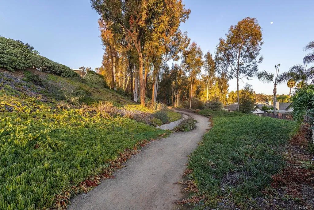 Additional image 74 of 823 Viking Lane, San Marcos, CA 92069