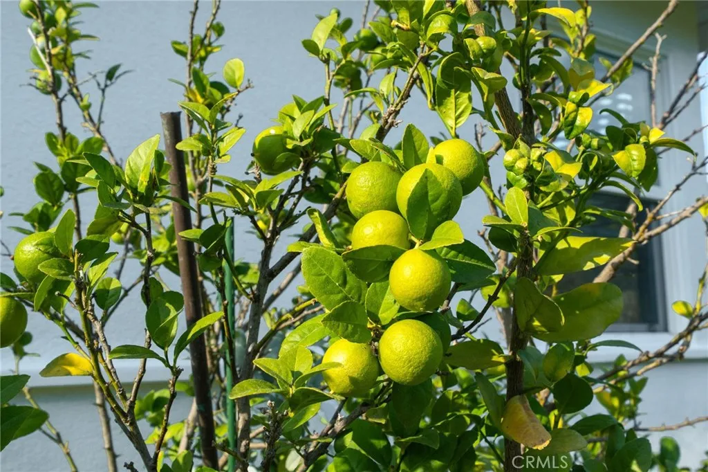 Additional image 51 of 20122 Orchid Street, Newport Beach, CA 92660