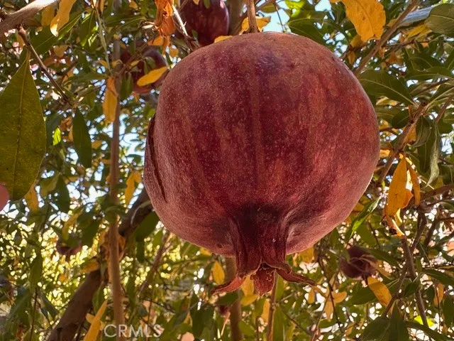 Additional image 31 of 913 S Grand Avenue Unit 172, San Jacinto, CA 92582