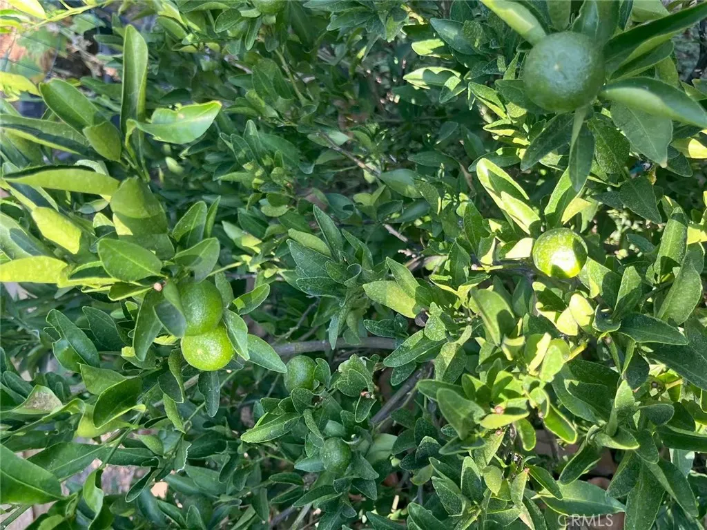 Additional image 49 of 1662 Palermo Dr, Riverside, CA 92507