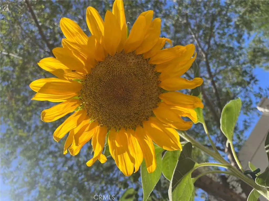 Additional image 21 of 1662 Palermo Dr, Riverside, CA 92507