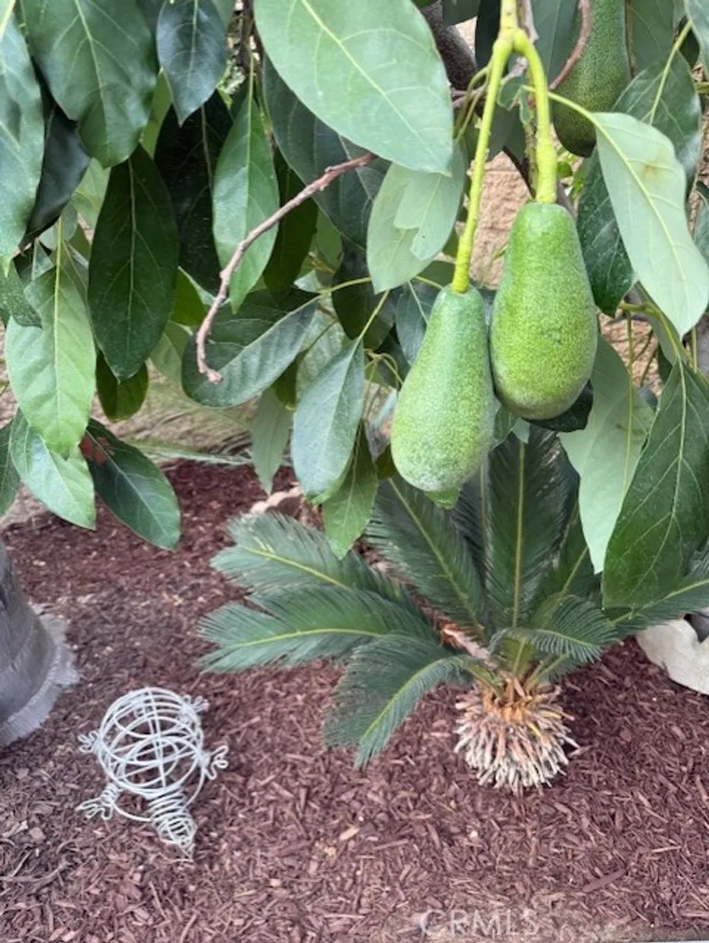 Additional image 30 of 1617 Waterford Ave, Redlands, CA 92374