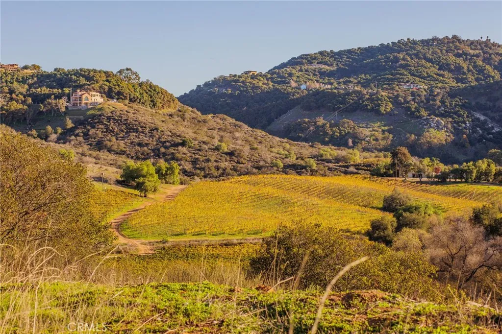 Additional image 129 of 31331 Rancho Amigos Rd, Bonsall, CA 92003