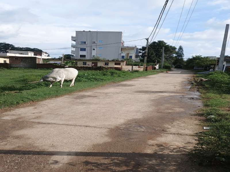 Additional image 3 of Tupudana, Ranchi
