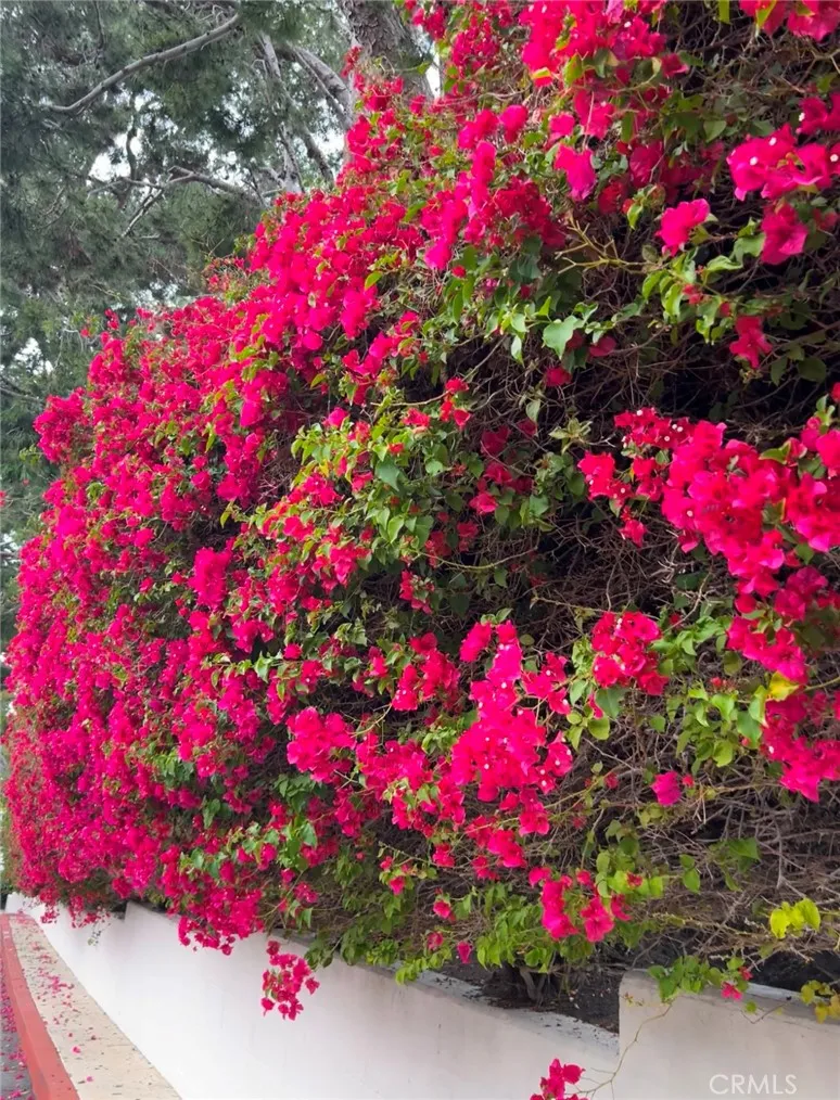 Additional image 82 of 67 Sea Island Drive, Newport Beach, CA 92660