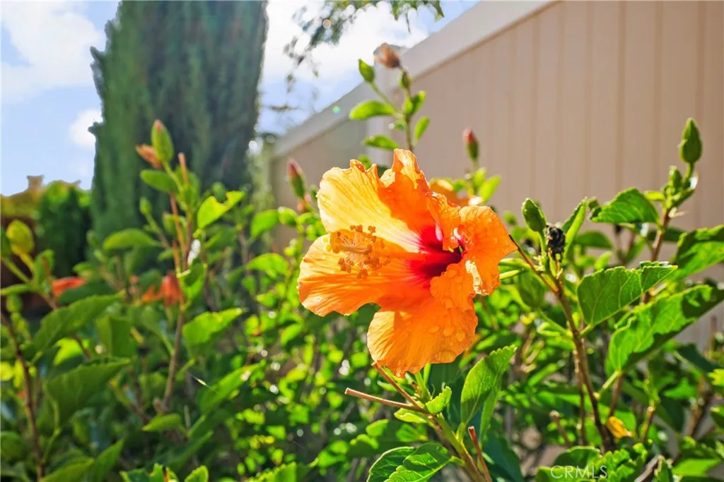 Additional image 72 of 24385 Via Las Junitas, Murrieta, CA 92562