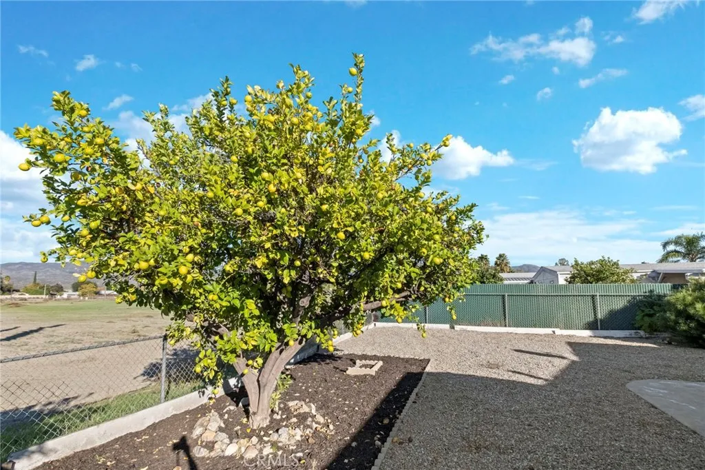 Additional image 60 of 43638 Jared Ln, Hemet, CA 92544