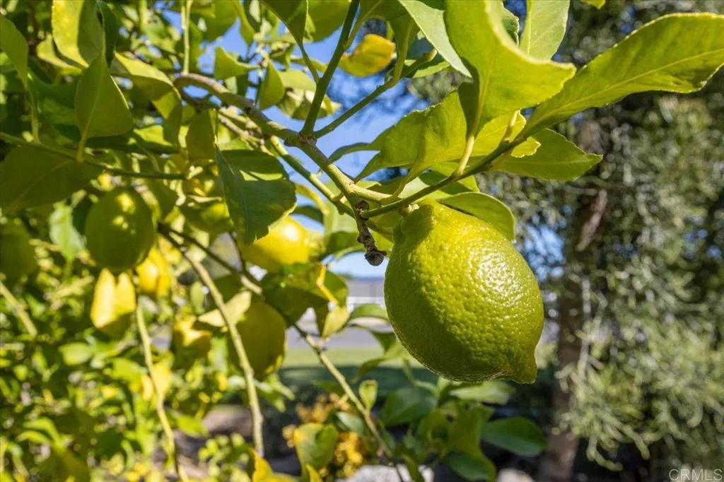 Additional image 33 of 18218 Paradise Mountain Road Unit SPC 89, Valley Center, CA 92082