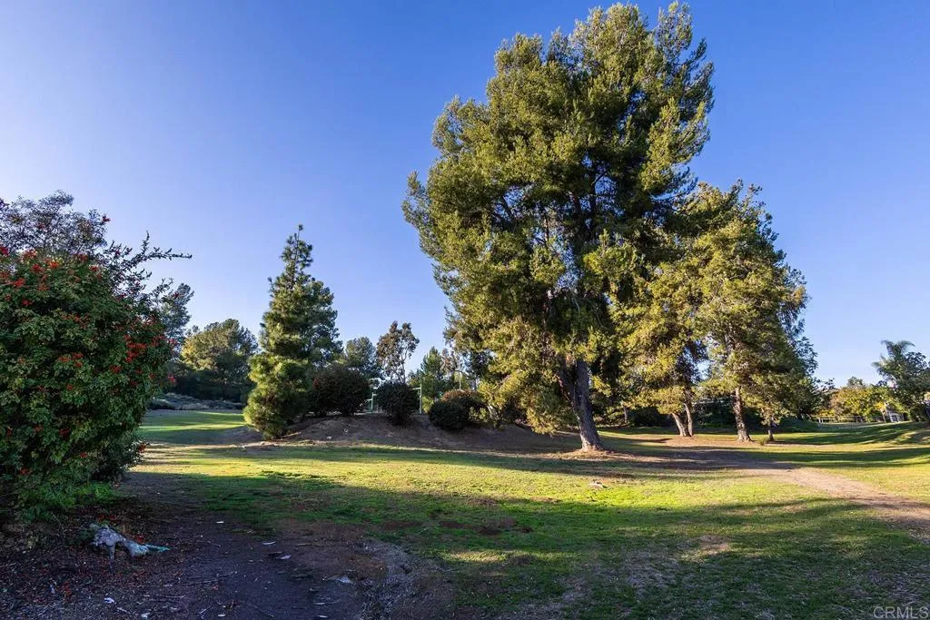 Additional image 72 of 823 Viking Lane, San Marcos, CA 92069