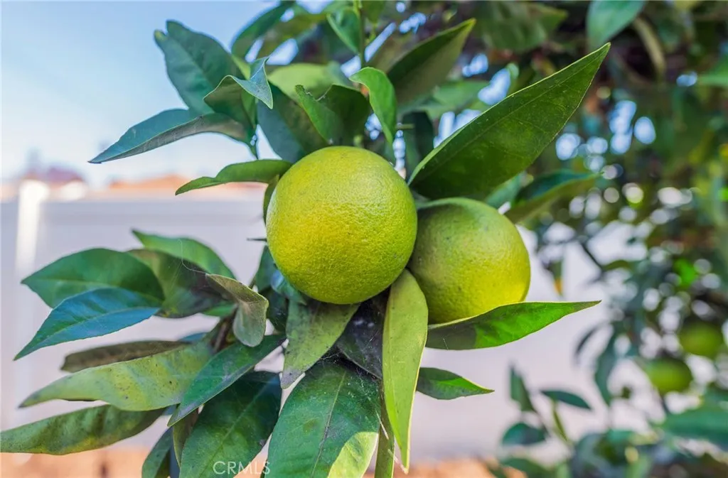 Additional image 80 of 13022 S Budlong Avenue, Gardena, CA 90247