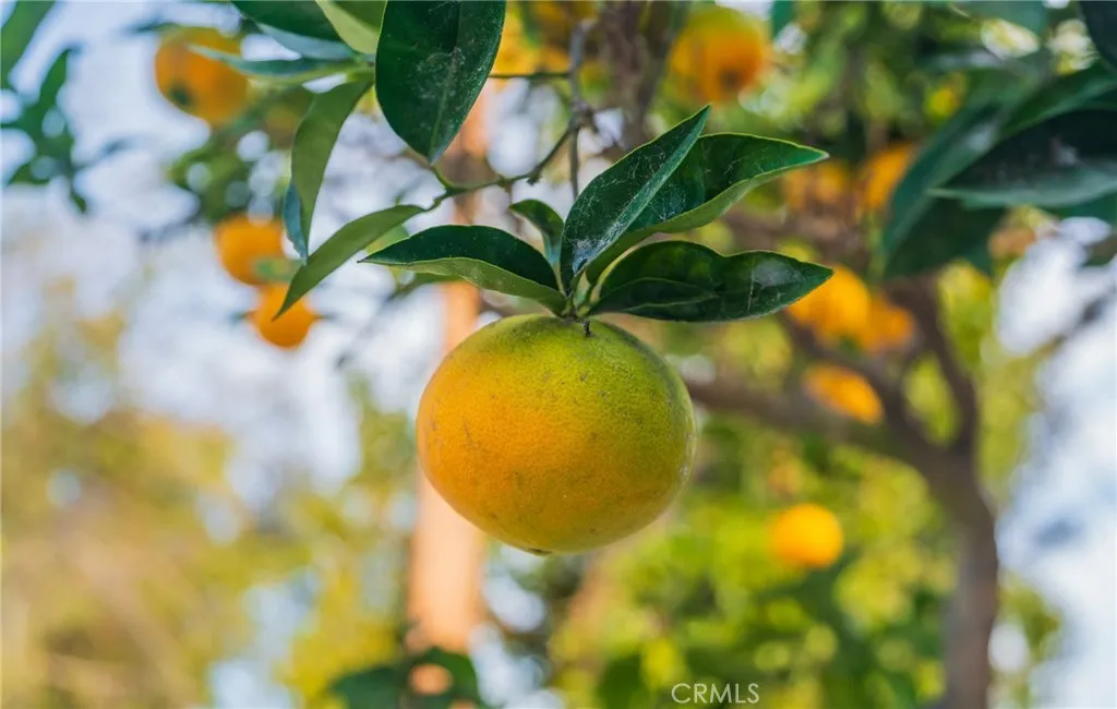 Additional image 32 of 22928 Evalyn Ave, Torrance, CA 90505