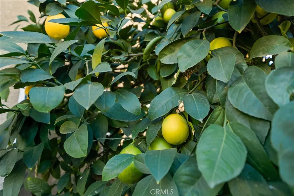 Additional image 77 of 742 Alder Street, Beaumont, CA 92223