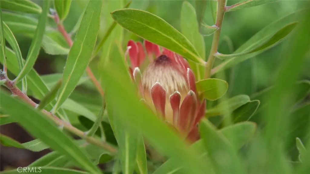 Additional image 5 of 28916 Valley Heights Dr, Agoura Hills, CA 91301