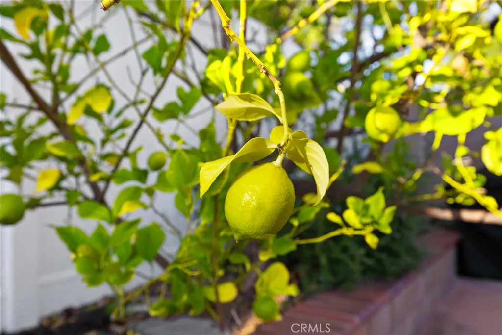 Additional image 39 of 43856 Carentan Dr, Temecula, CA 92592