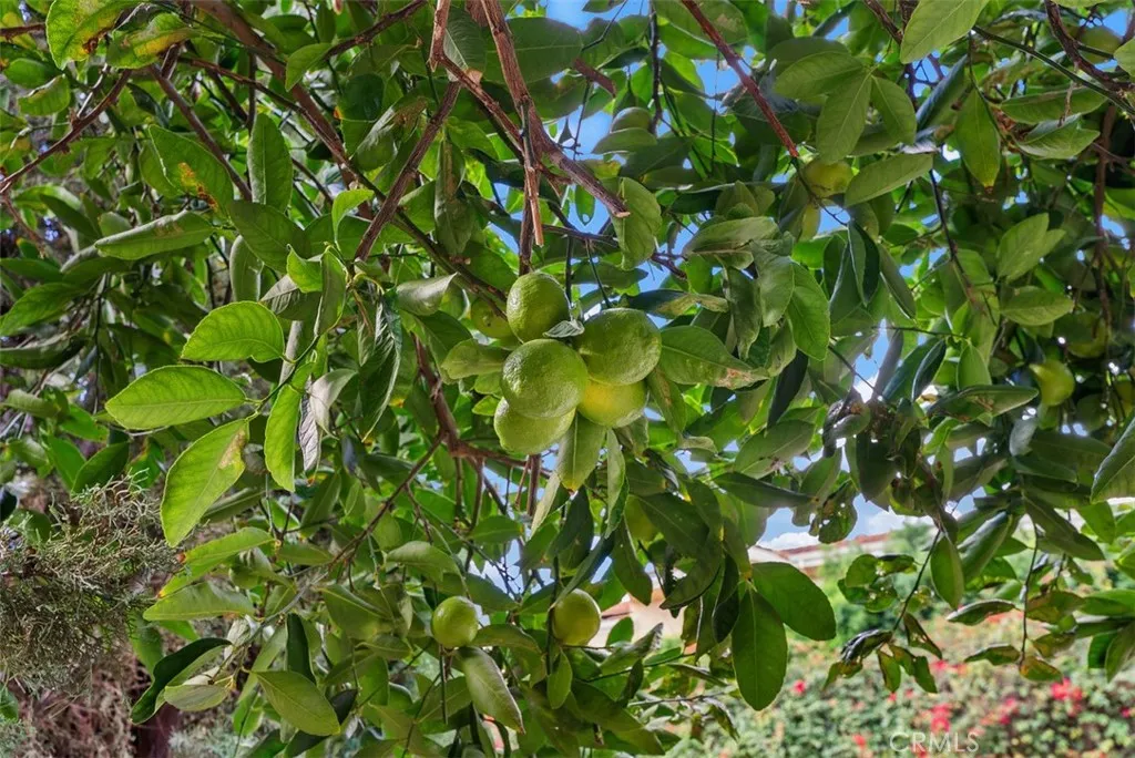 Additional image 29 of 37 Meadowbrook, Aliso Viejo, CA 92656