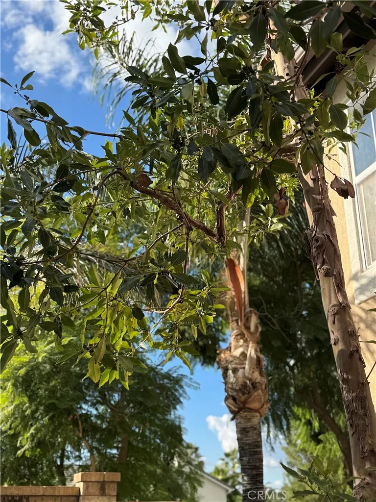 Additional image 92 of 39213 Anchor Bay Ln Unit B, Murrieta, CA 92563