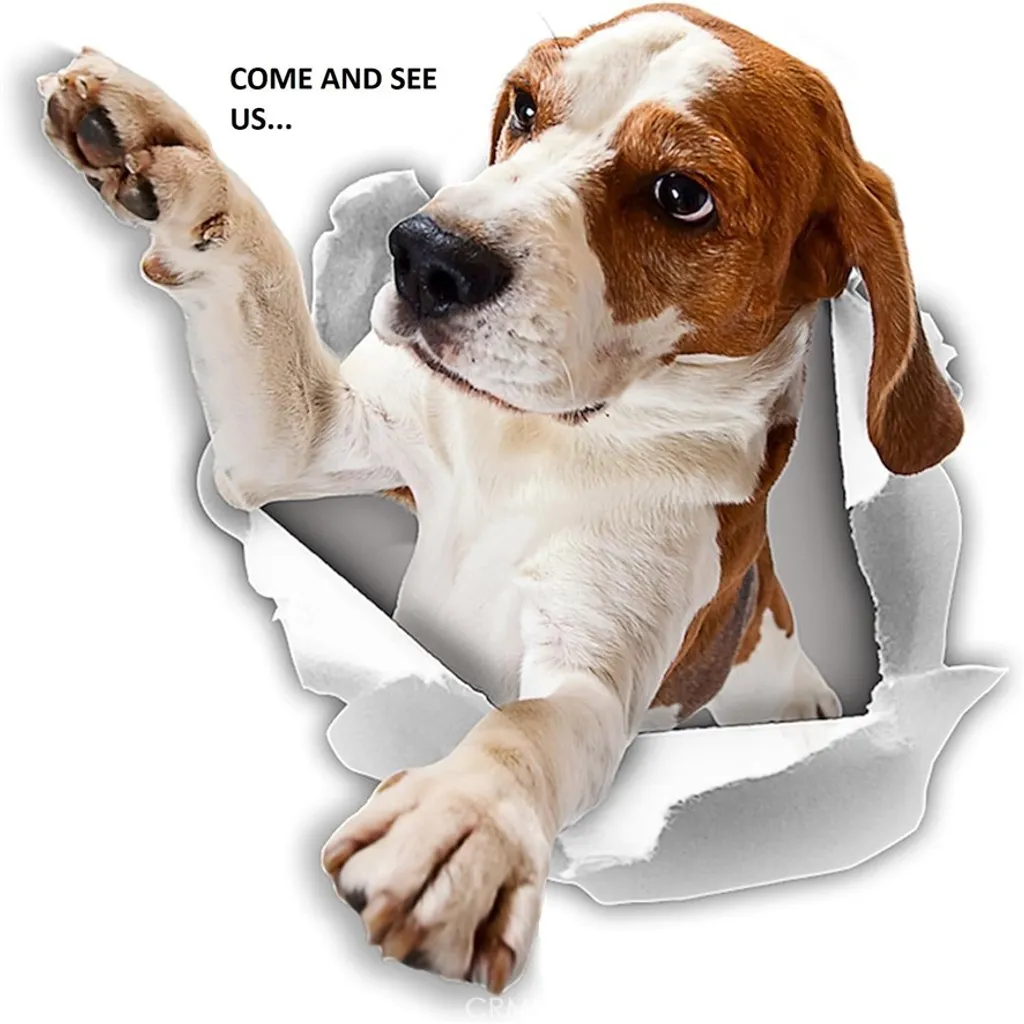 Additional image 33 of 3030 Frontier Ave, Thousand Oaks, CA 91360