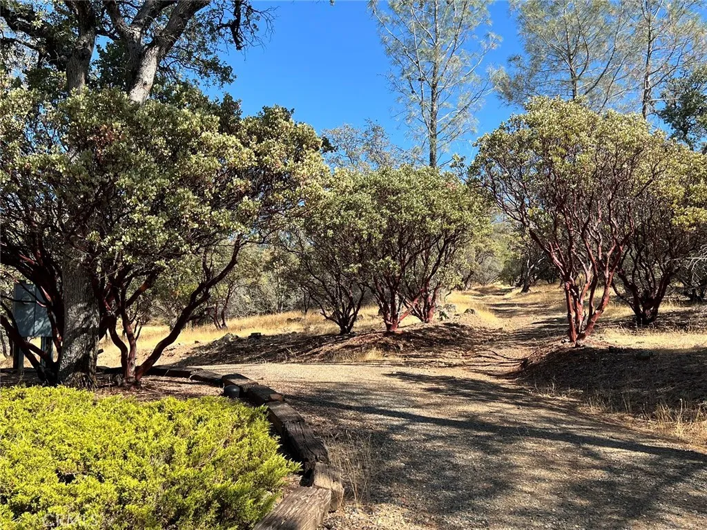 Additional image 36 of 110 Roemelt Lane, Oroville, CA 95966