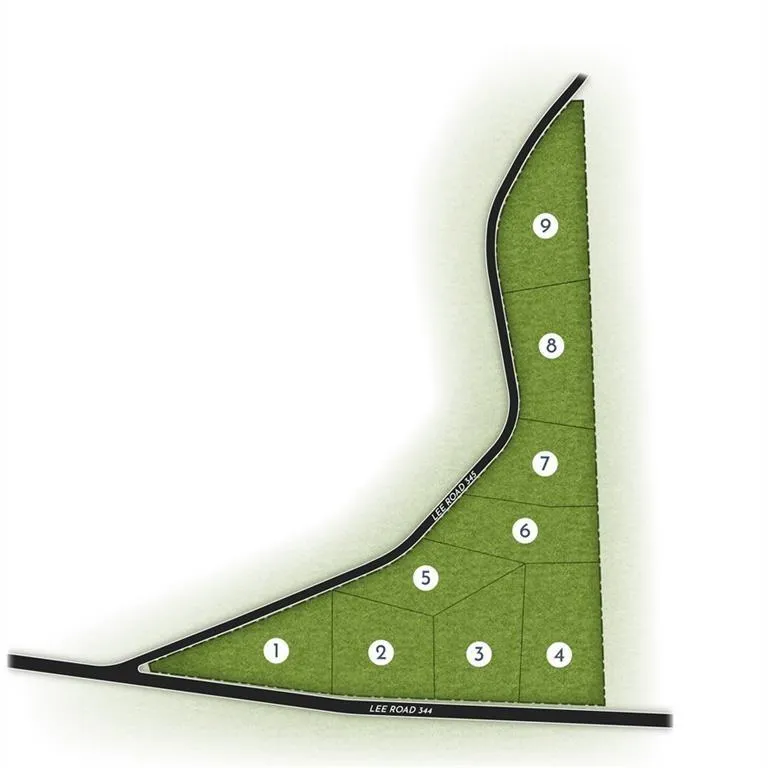 Additional image 3 of Lot 4 Lee Road 344, Salem, AL 36874