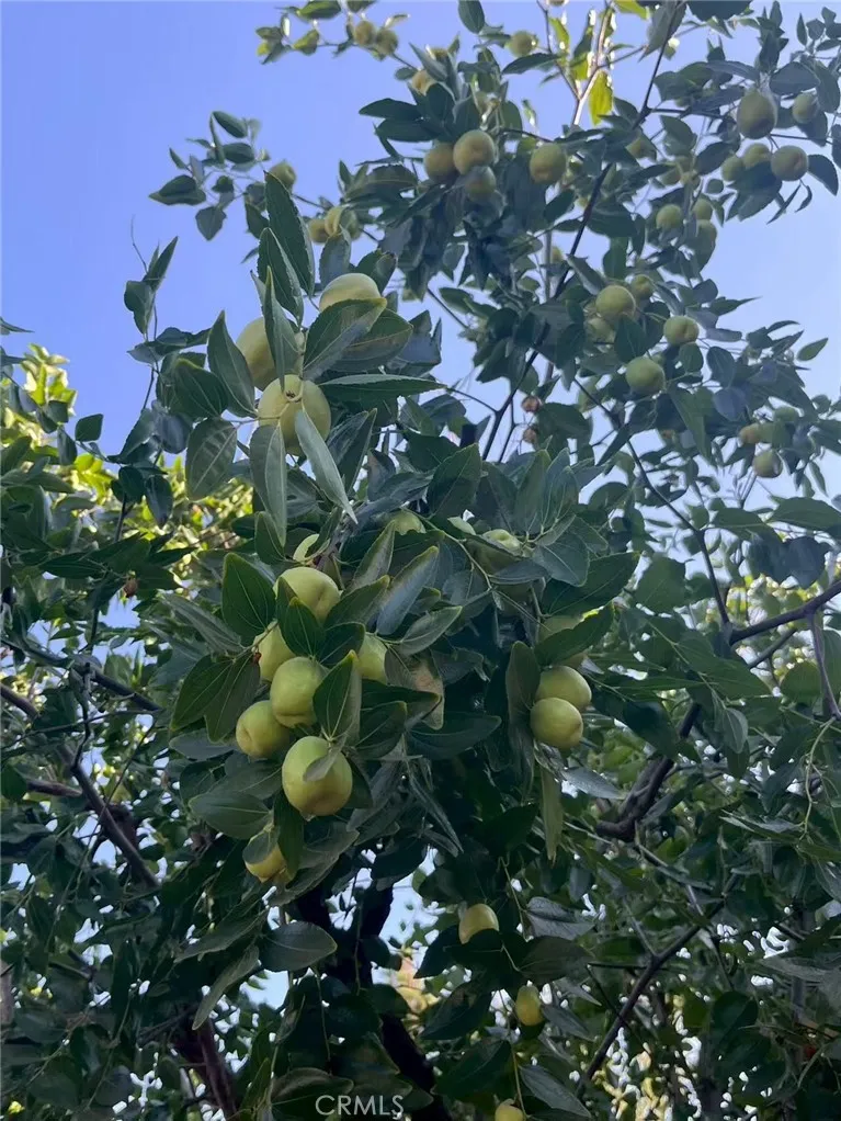 Additional image 48 of 1662 Palermo Dr, Riverside, CA 92507