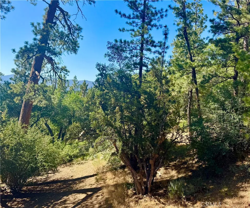 Additional image 65 of 810 Villa Grove Avenue, Big Bear City, CA 92314