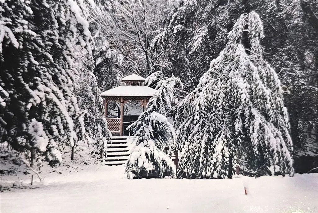 Additional image 93 of 323 Alder, Lytle Creek, CA 92358