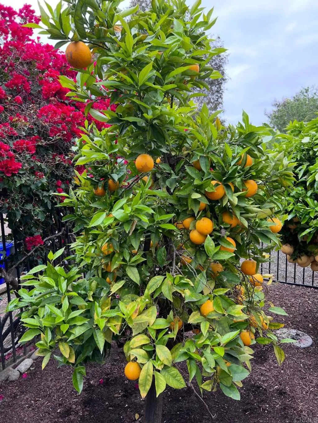 Additional image 48 of 2070 Tiffany Drive, Oceanside, CA 92056