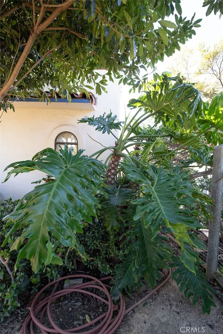 Additional image 108 of 2581 Juniper Ave, Morro Bay, CA 93442