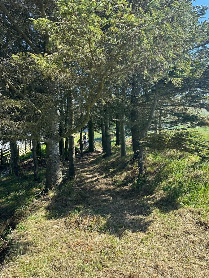 Additional image 35 of Cross Slacks, Banff, AB45