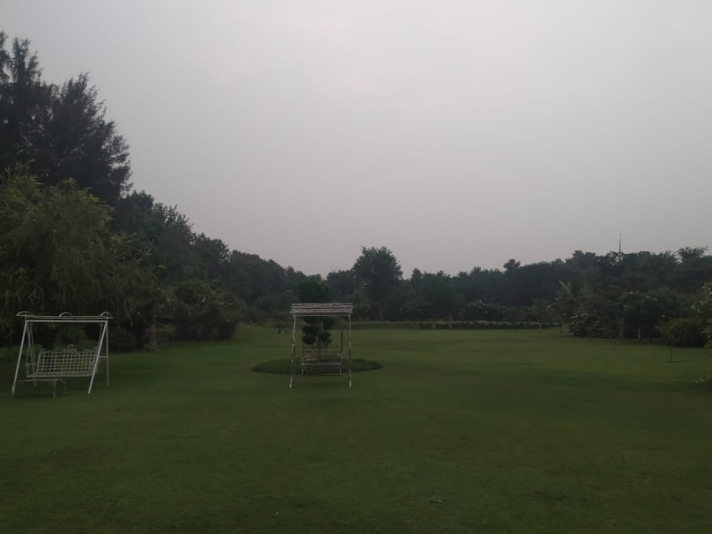 Teekli Village, Sohna, Gurgaon