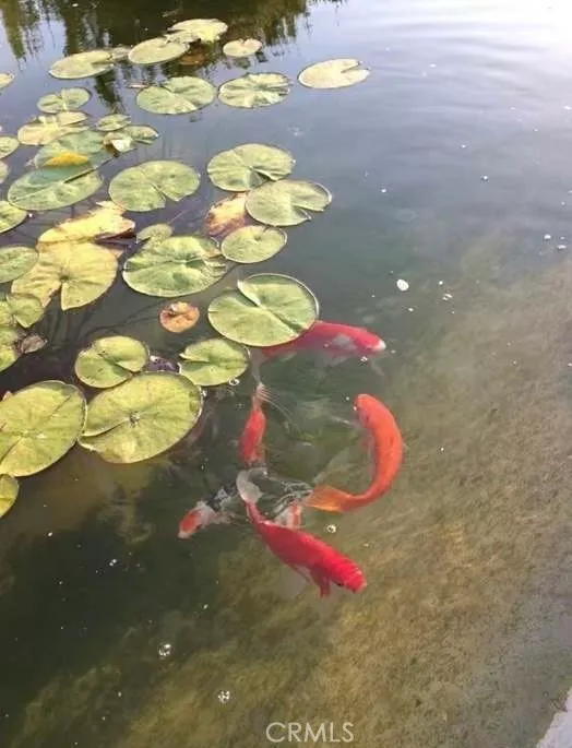 Additional image 80 of 1142 Flintlock Rd, Diamond Bar, CA 91765