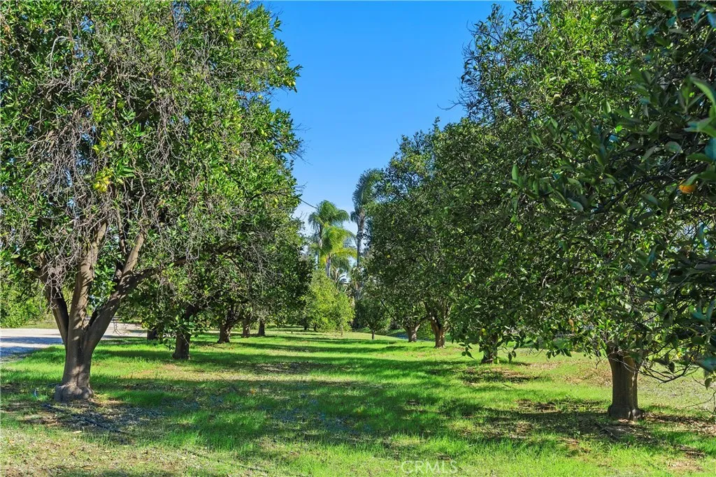 Additional image 74 of 1195 Pamplona Dr, Riverside, CA 92508