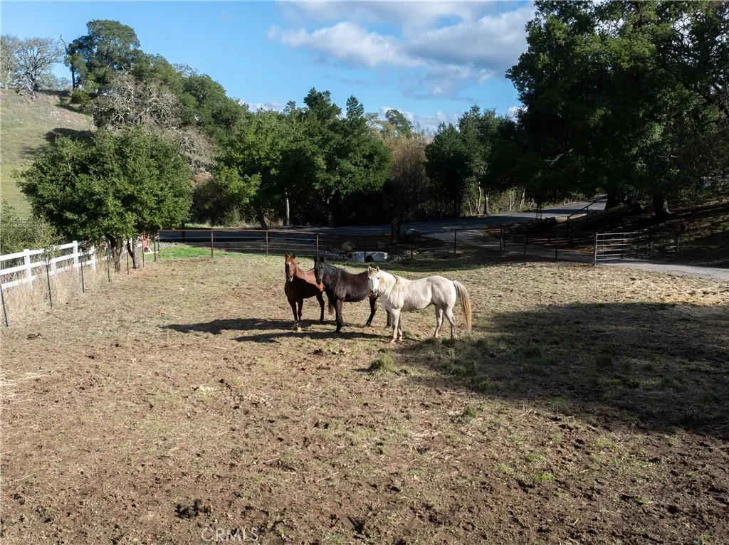 Additional image 69 of 10844 Vista Rd, Atascadero, CA 93422