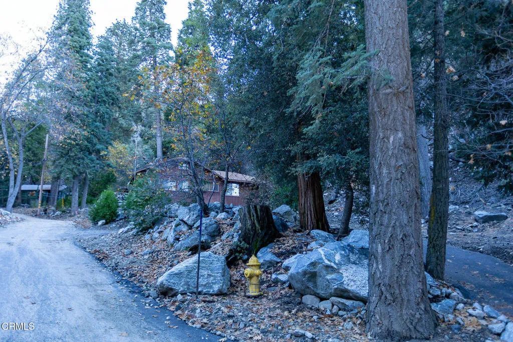 Additional image 64 of 9320 Wood Road, Forest Falls, CA 92339