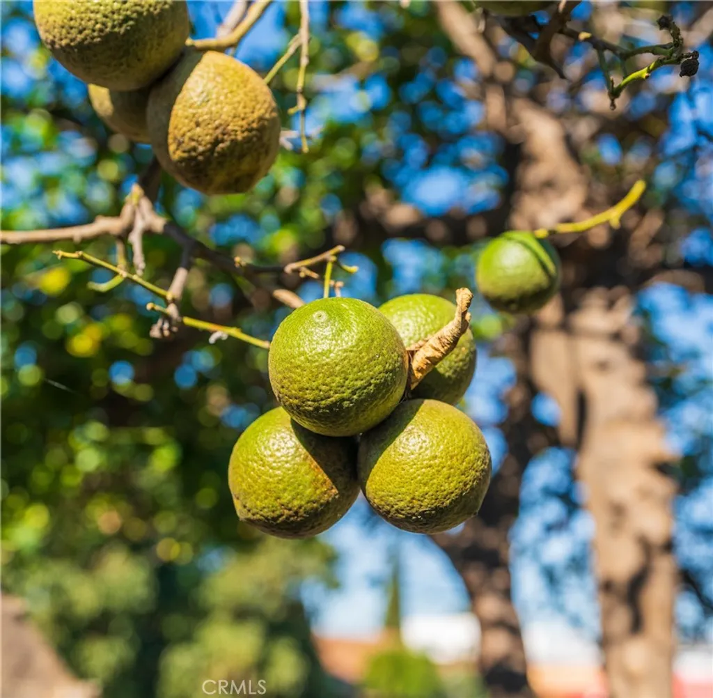 1680 S Rimpau Boulevard, Los Angeles, CA 90019