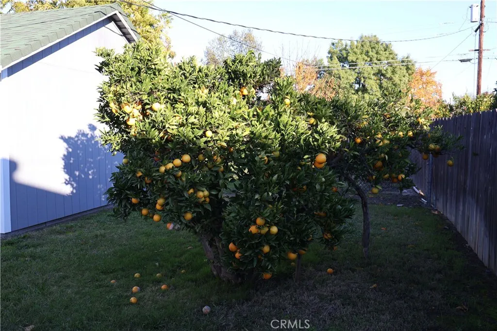 Additional image 76 of 1311 6th Ave, Corning, CA 96021