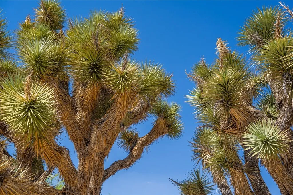 Additional image 63 of 56488 El Dorado Drive, Yucca Valley, CA 92284