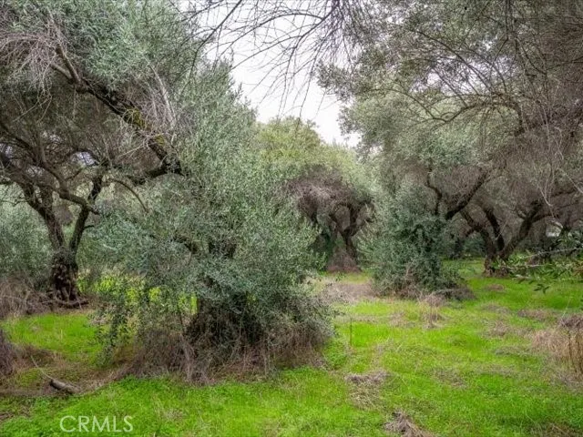 Additional image 112 of 5287 Barham Avenue, Corning, CA 96021