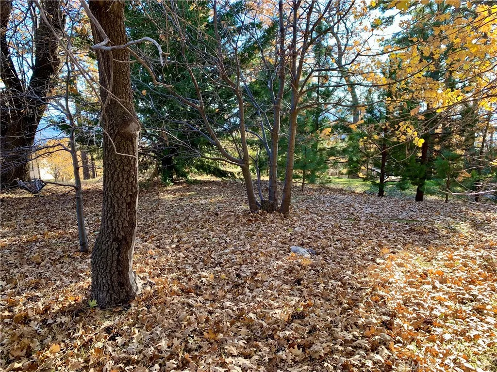 Additional image 17 of 40 Park Dr, Running Springs, CA 92382