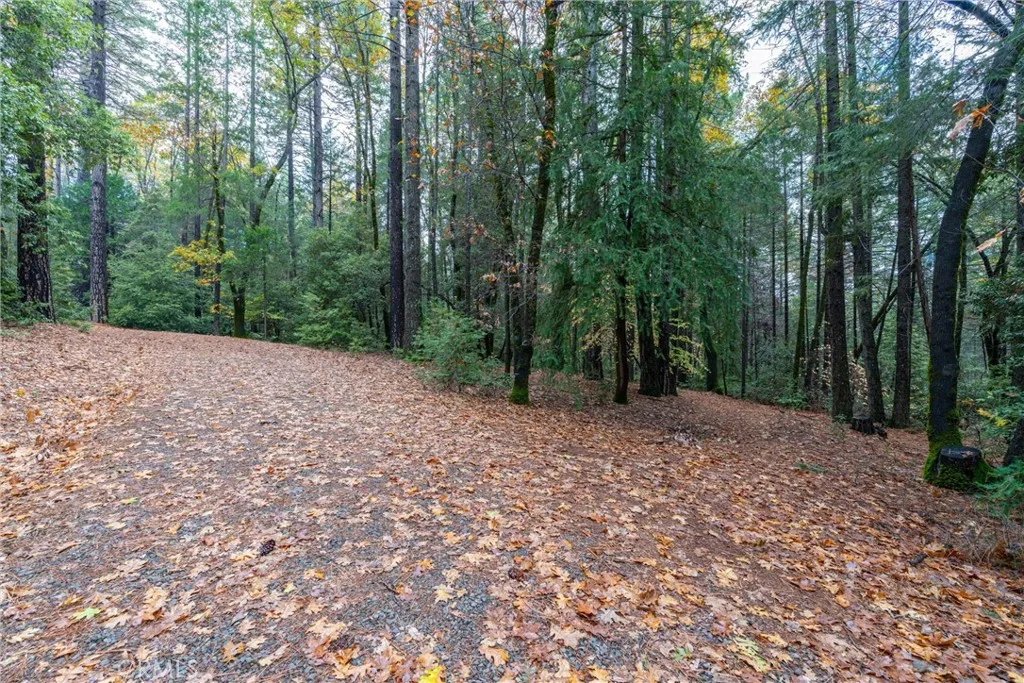 Additional image 139 of 16376 Stage Road, Forest Ranch, CA 95942