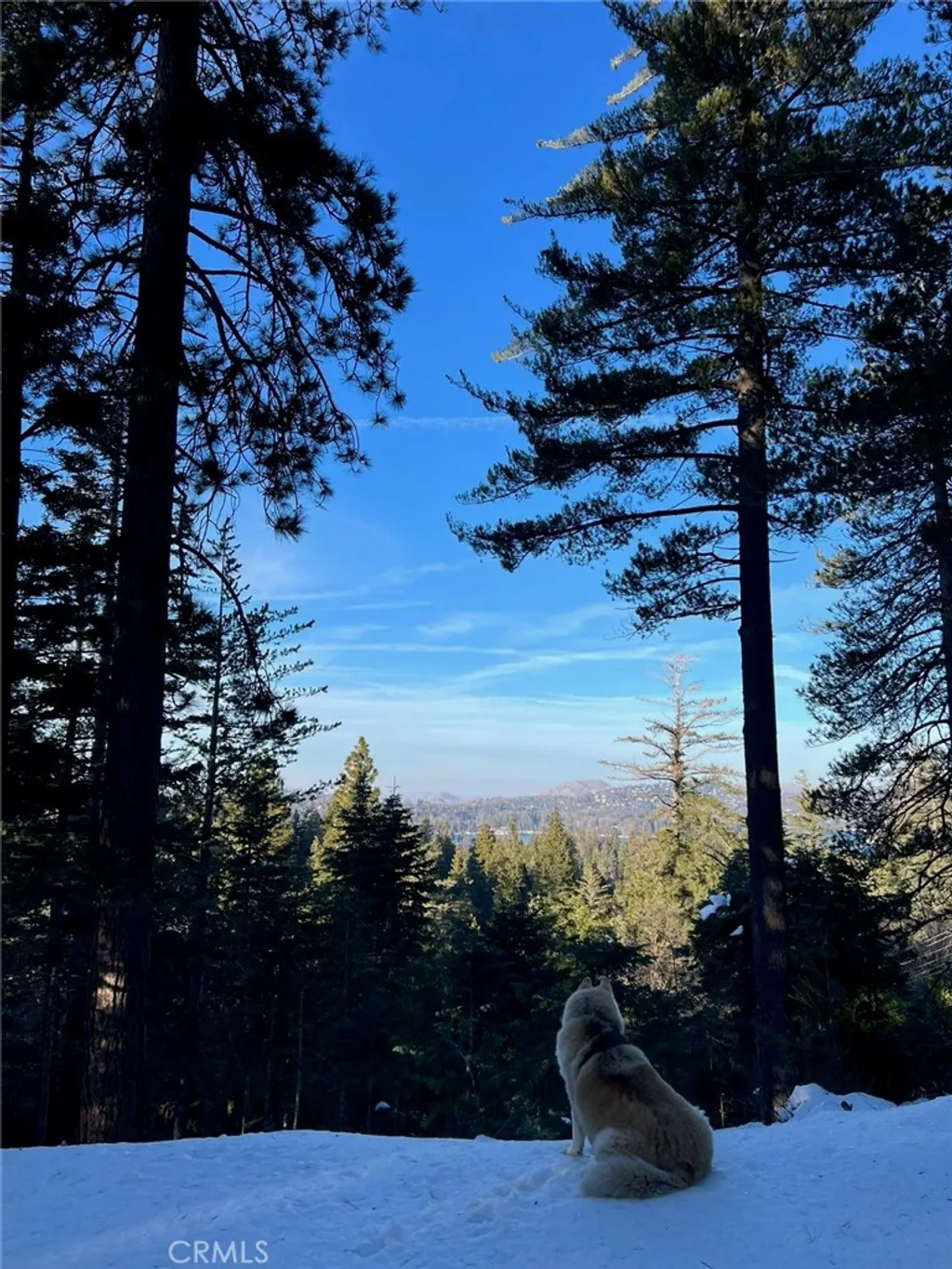 Additional image 3 of 525 Ca-173, Lake Arrowhead, CA 92352