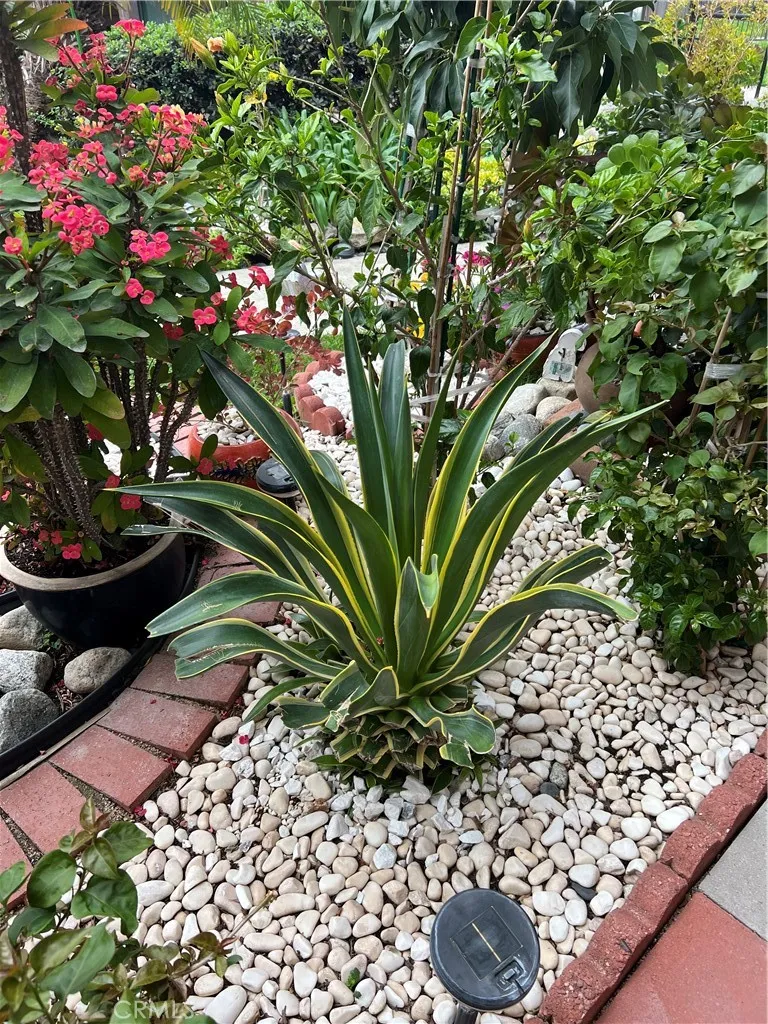 Additional image 102 of 320 W Walnut Street Unit 51, Ontario, CA 91762