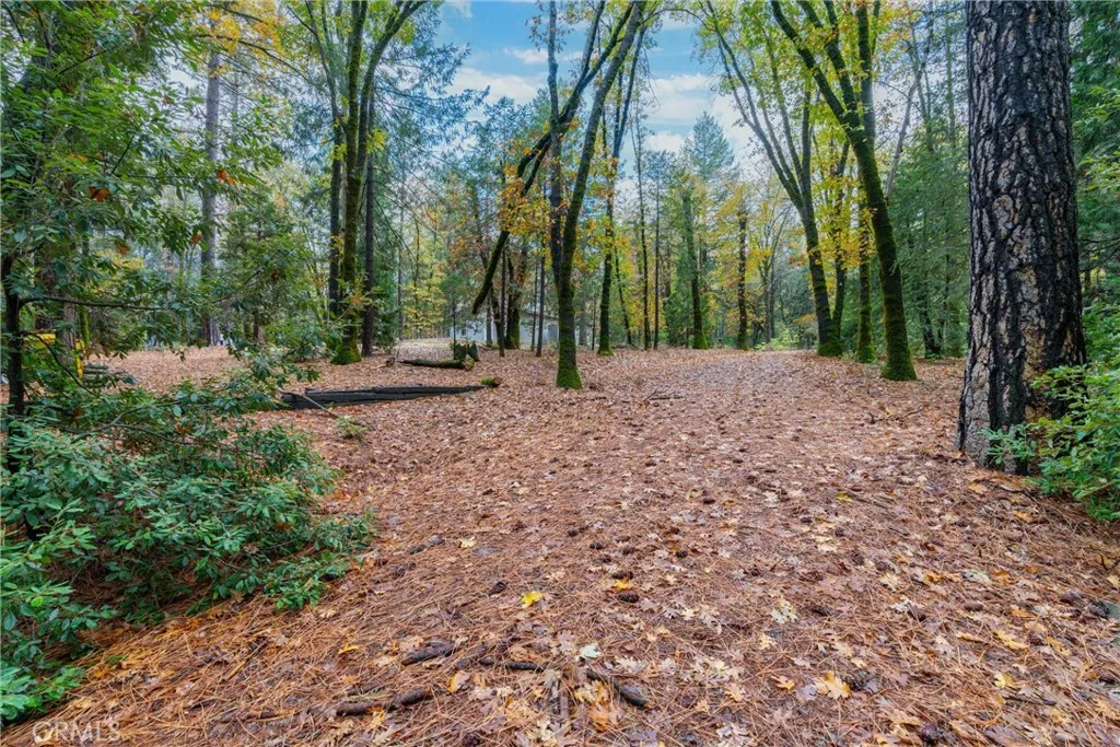 Additional image 54 of 16376 Stage Road, Forest Ranch, CA 95942