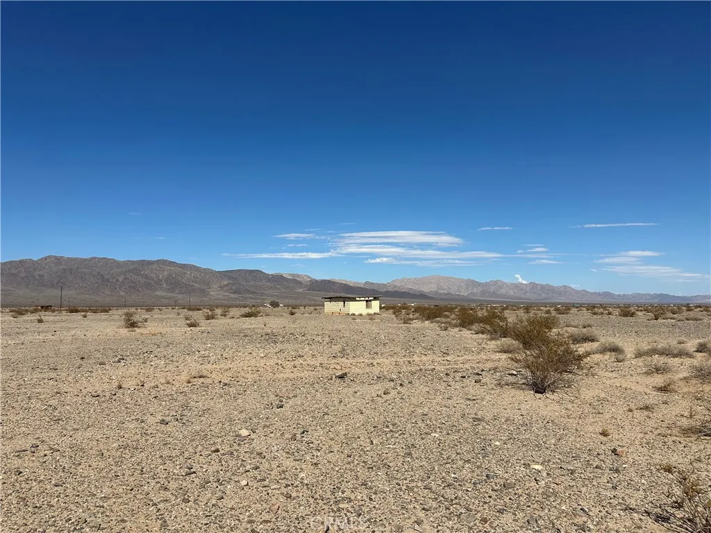 Additional image 6 of 1 Screech Owl, 29 Palms, CA 92277