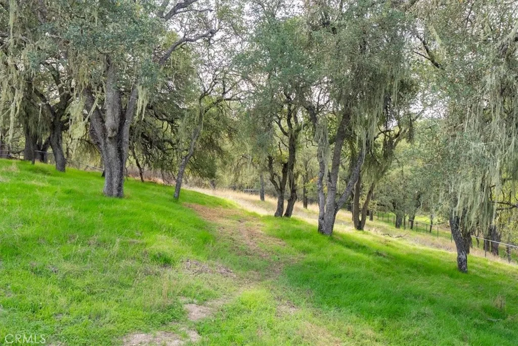 Additional image 41 of 1505 Barley Grain, Paso Robles, CA 93446